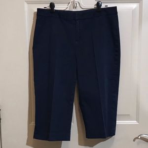Coldwater Creek Navy Capris Pants Size 10 Petite